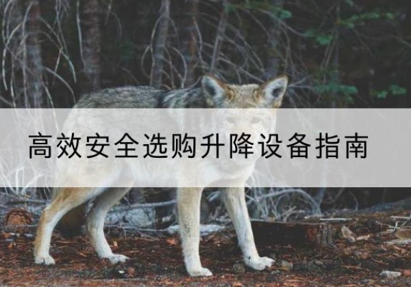 南浔升降货梯厂家推荐-*安全选购升降设备指南