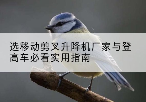 南浔电动升降机厂家-选移动剪叉升降机厂家与登高车必看实用指南