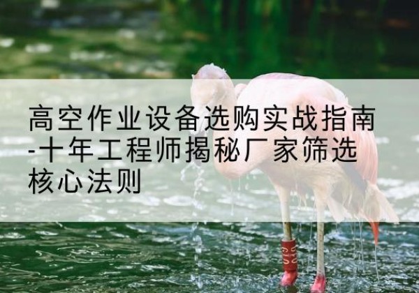 南浔剪叉式升降机厂家-高空作业设备选购实战指南-十年工程师揭秘厂家筛选核心法则